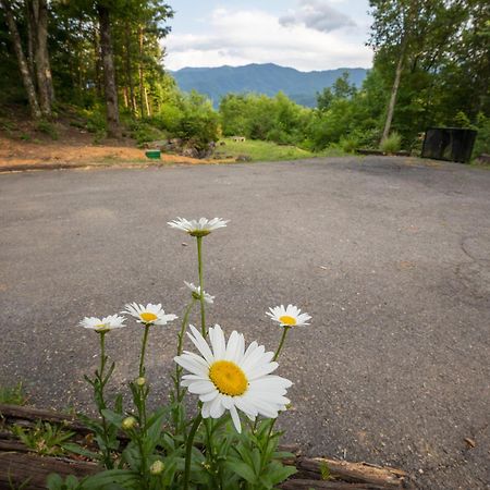 Real Log Cabin With Amazing Views, Hot Tub, Sauna, Games Gatlinburg Εξωτερικό φωτογραφία
