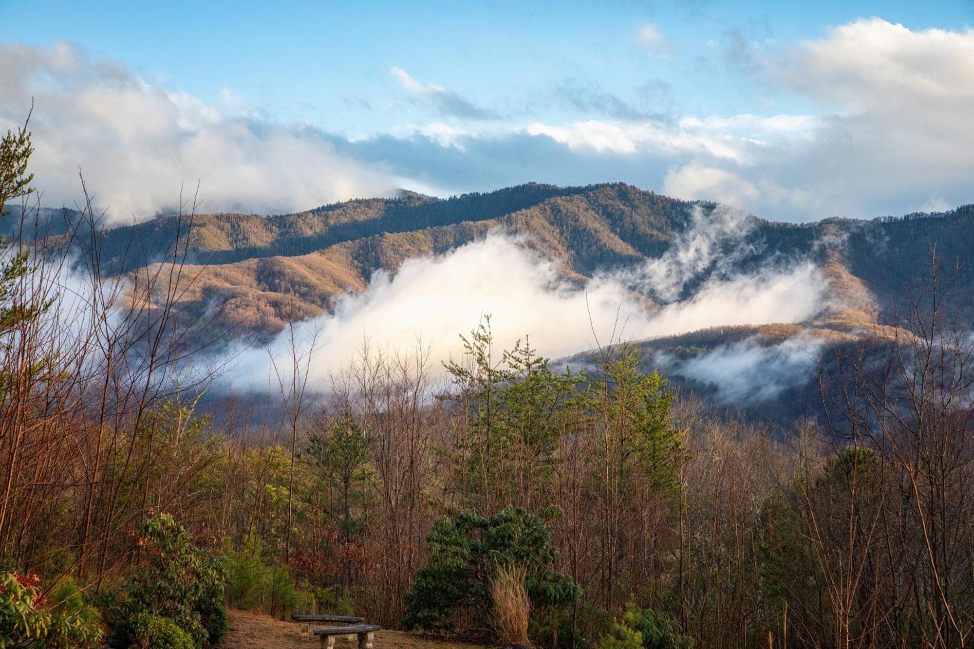 Real Log Cabin With Amazing Views, Hot Tub, Sauna, Games Gatlinburg Εξωτερικό φωτογραφία