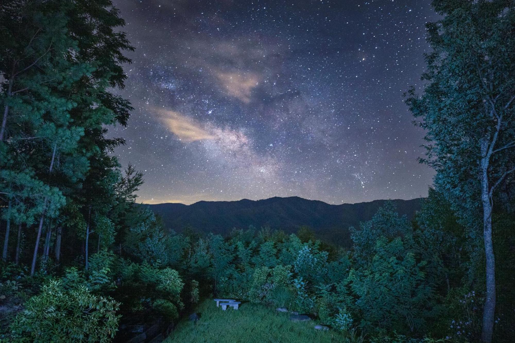 Real Log Cabin With Amazing Views, Hot Tub, Sauna, Games Gatlinburg Εξωτερικό φωτογραφία
